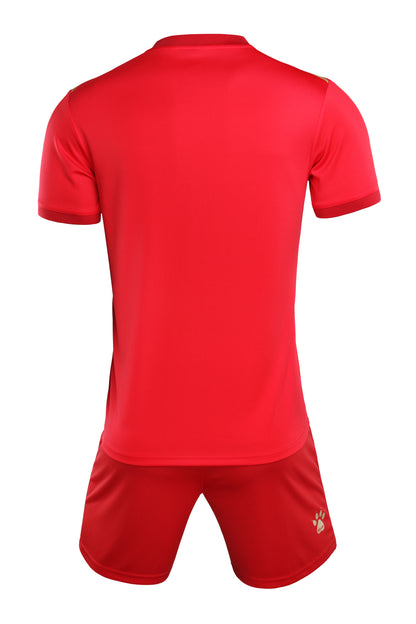 SHORT SLEEVE FOOTBALL SET (ADULTS)